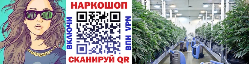 Наркошоп Кирс Гашиш СК блэк спрут сайт МЕФ МДМА