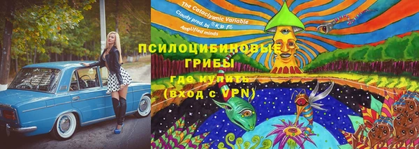 гидропоника Абинск